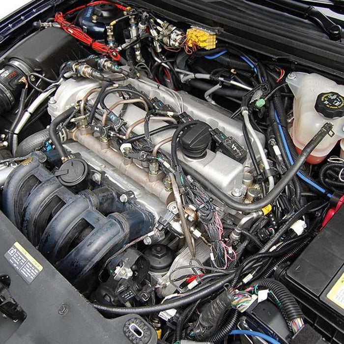 Marterverjager Marterbestrijder 12 Volt