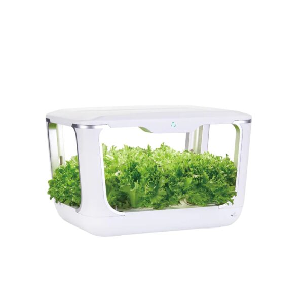 Smart grow box - Automatische kweekbak voor 15 planten - Wind circulatie - Bewatering - LED - Dag/nacht timerschema - Click & Grow